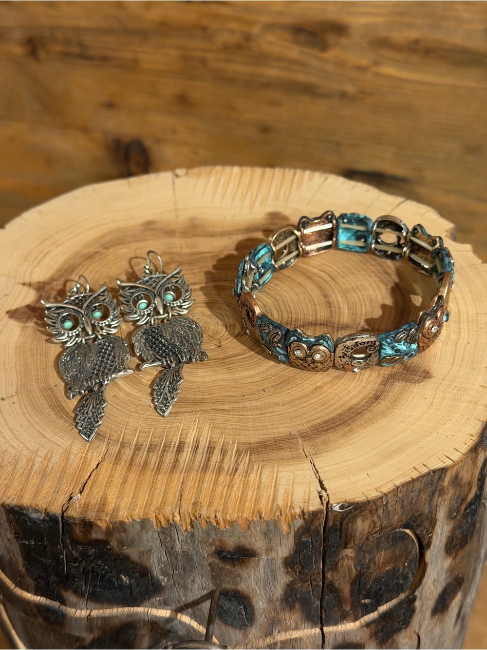 Turquoise Silver Owl Earrings & Wisdom Owl Patina Mixed-Metal Stretch Bracelet